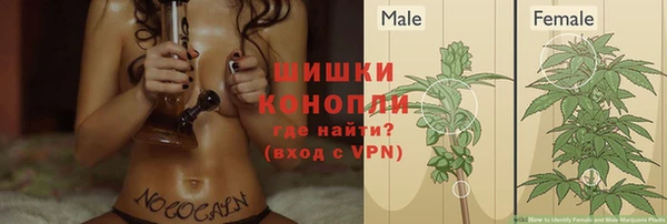 дживик Баксан