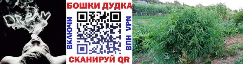 Каннабис план  где найти   Сосенский 